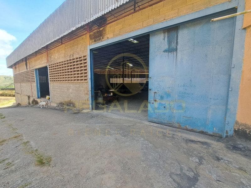 Galpon Industrial El Bautismo Guatire Estado Miranda